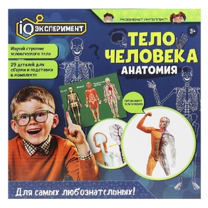 Опыты тело человека IQ Эксперимент