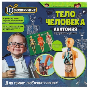 Опыты тело человека IQ Эксперимент
