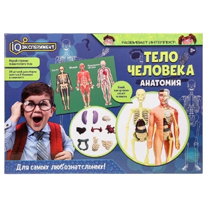 Опыты анатомия тело человека