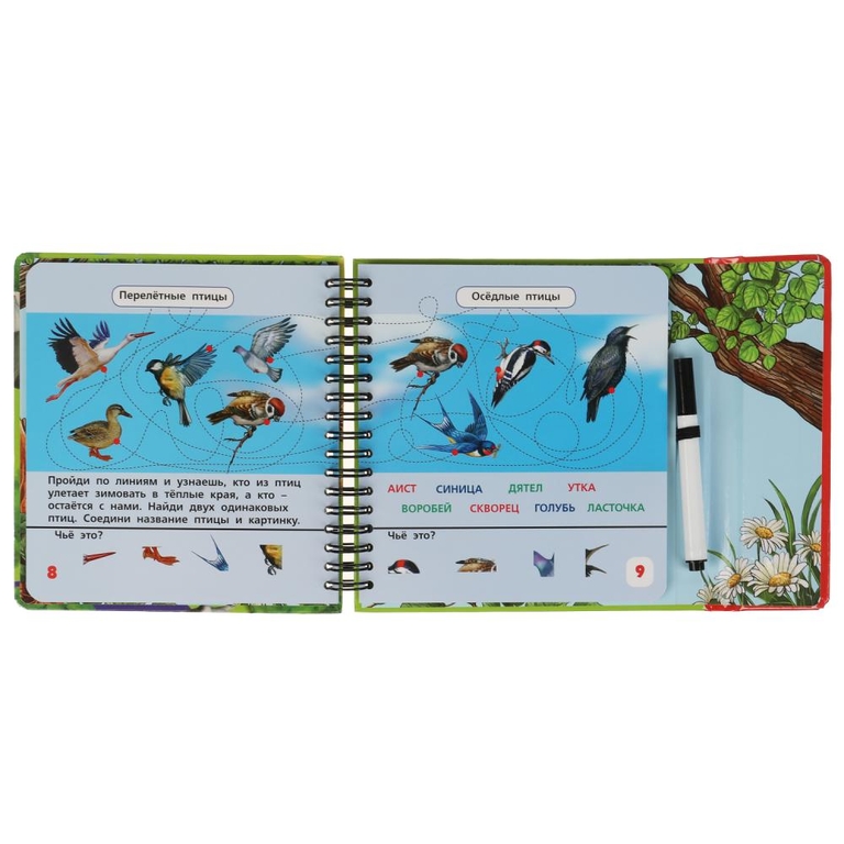 Мир животных. 50 игр (блокнот на спирали с маркером)
