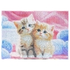 Алмазная мозаика 22*30 с подрамником Котики