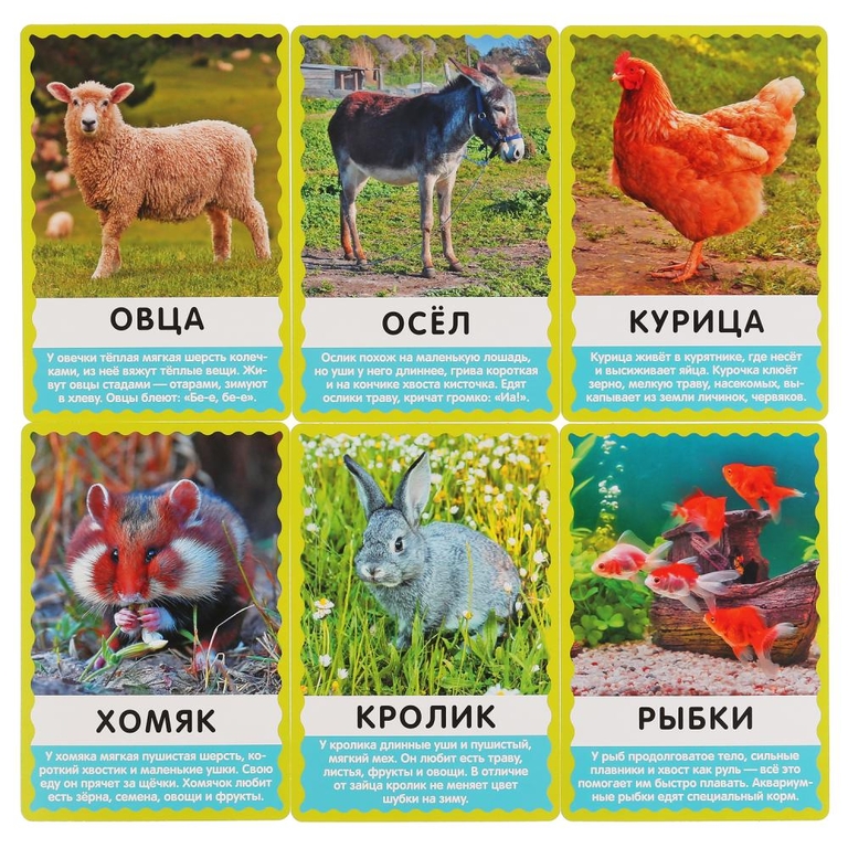 Карточки развивающие. Домашние животные. М.В.Дружинина  М.А.Жукова