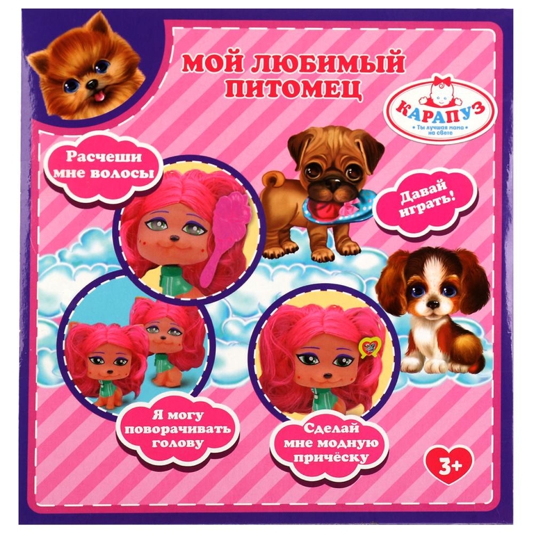 Питомец собака с волосами