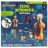 Опыты тело человека IQ Эксперимент