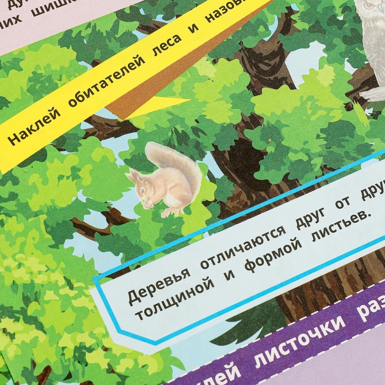 Книга наклеек с заданиями В лесу